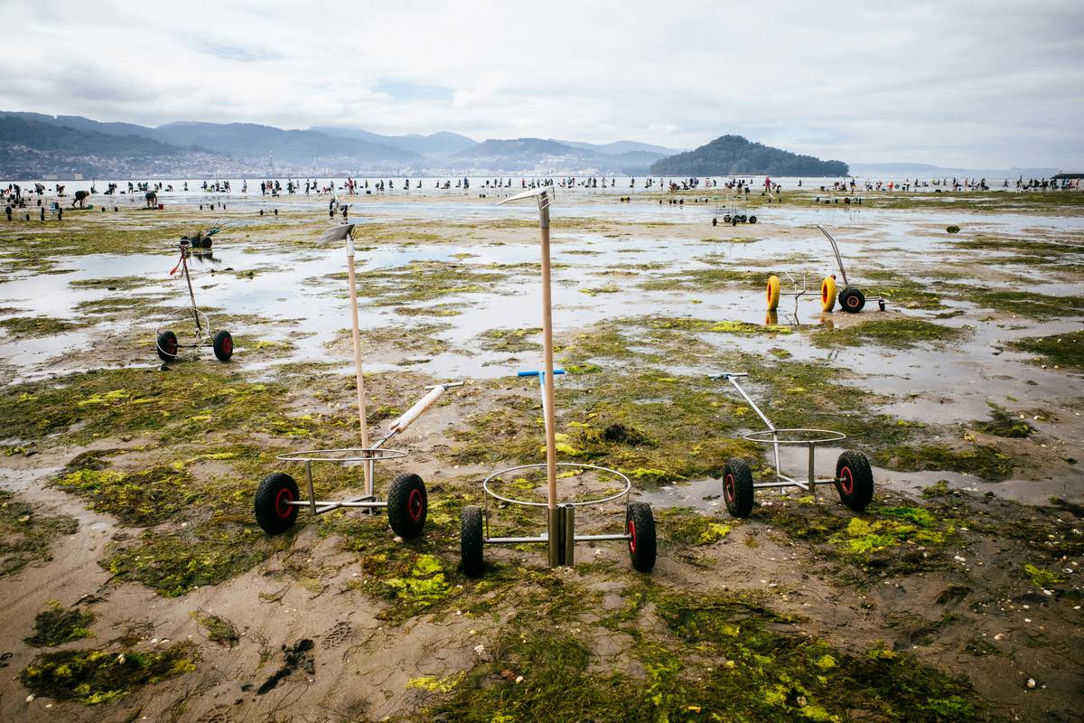 Bar chart comparing sustainable vs unsustainable seaweed harvesting impacts on marine biodiversity