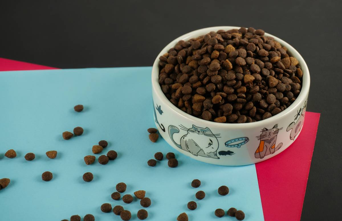 Digestive Support Monitoring Tools: How Seaweed Supplements & Smart Tracking Keep Your Pet Thriving