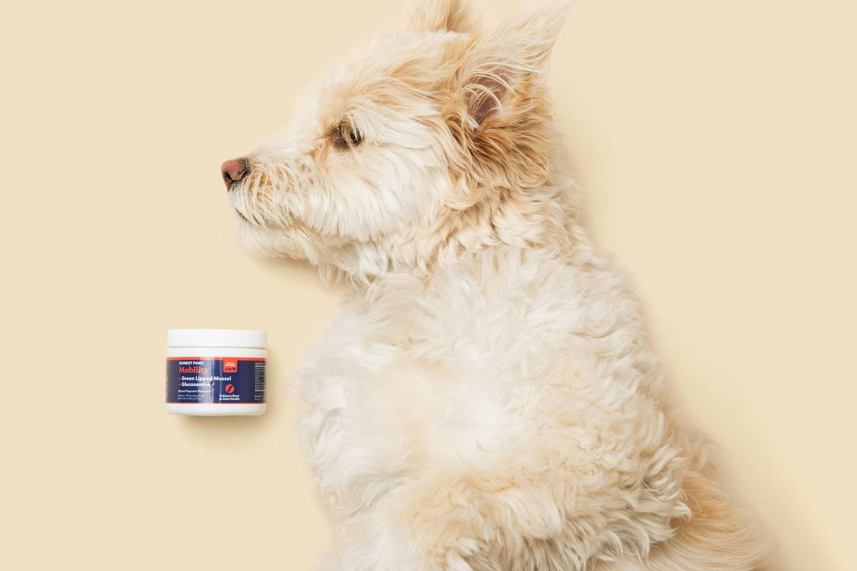 Infographic showing 4 key coat health success metrics: shedding count, dander level, coat tensile strength, and gloss index with visual scales