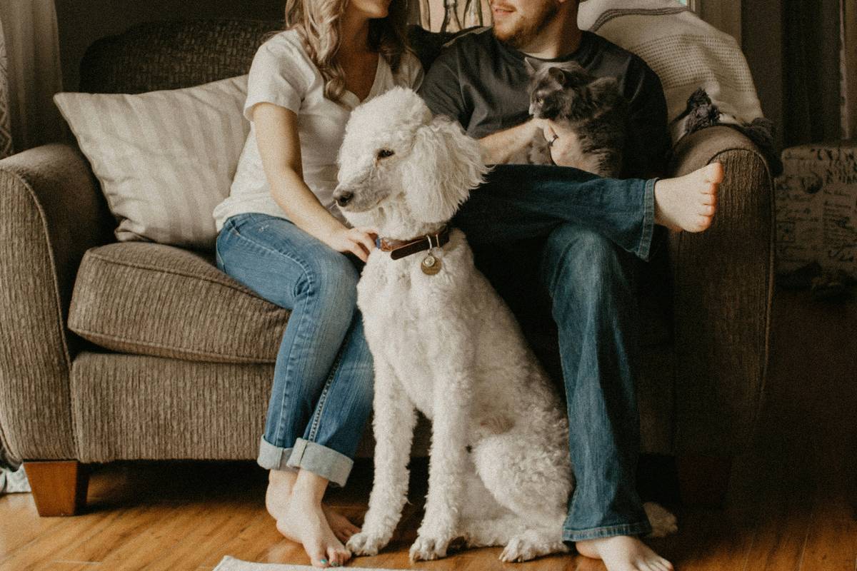 Infographic showing 68% of pet owners care about sustainability, but 52% distrust brand claims
